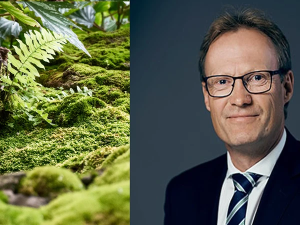 gratis-seminat-advokat-nicolaisen