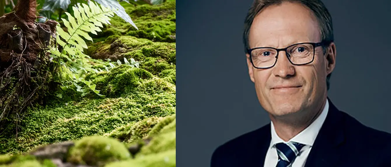 gratis-seminat-advokat-nicolaisen